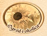 ogr�d i okolica